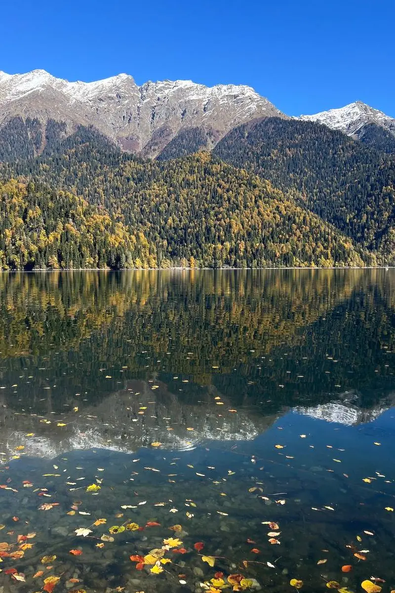 Опавшие листья на прозрачной горной воде